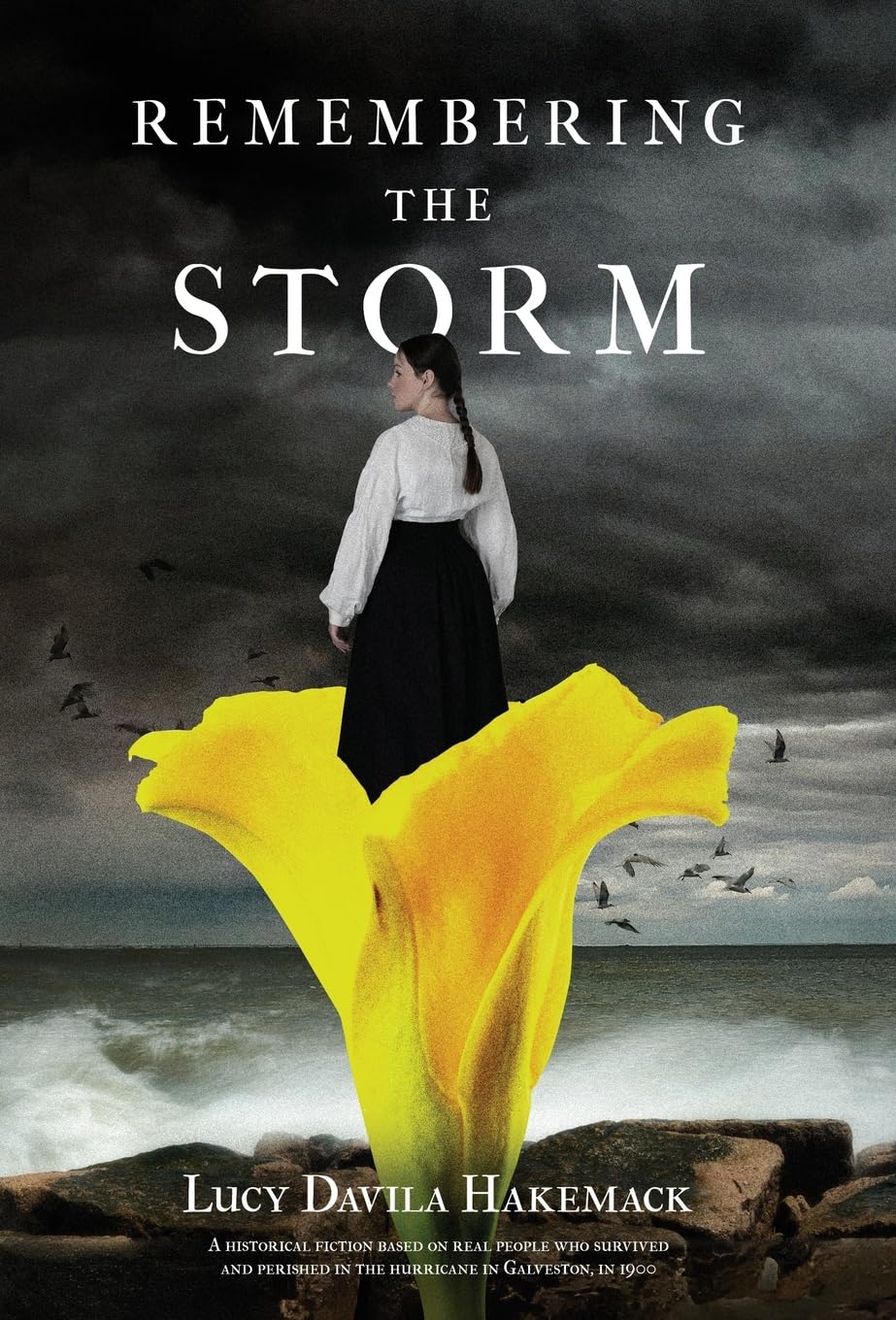 Photo of cover of Remembering the Storm
